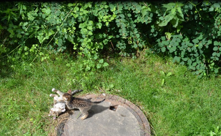 DSC_0452 - Version 2